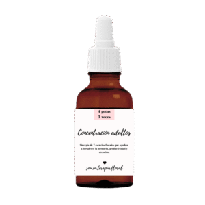 CONCENTRACIÓN ADULTOS